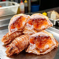 Fresh-Frozen Whole Mantis Shrimp